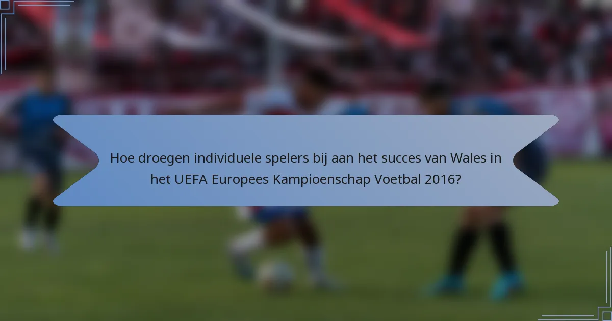 Hoe droegen individuele spelers bij aan het succes van Wales in het UEFA Europees Kampioenschap Voetbal 2016?